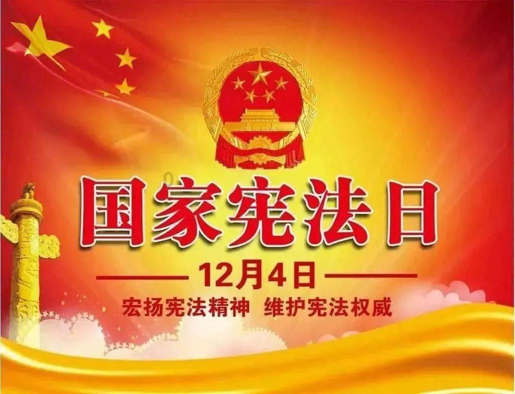 小仓鼠吃瓜子